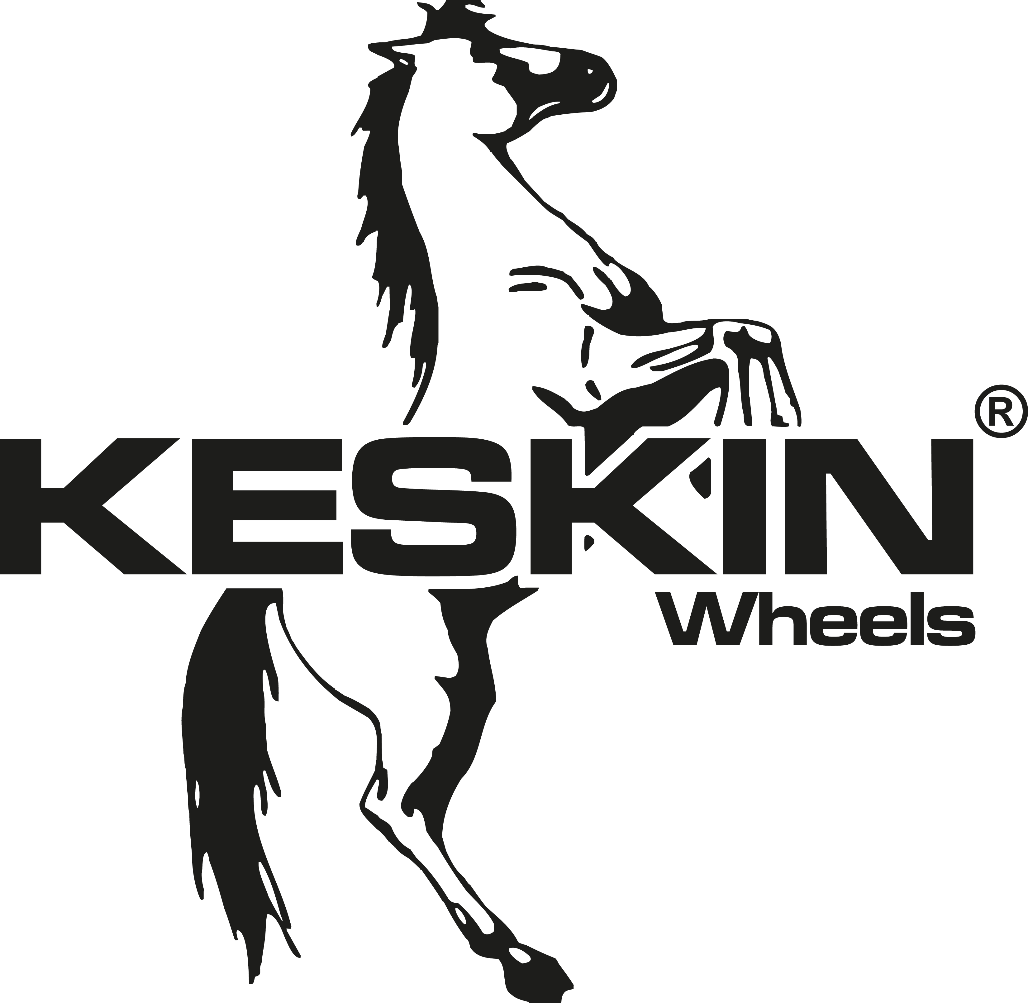 KESKIN